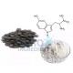 High Purity 98% 5-HTP (Griffonia Seed Extract) 5-Hydroxytryptophan High Purity 98% 5-HTP (Griffonia Seed Extract) 5-Hydroxytryptophan