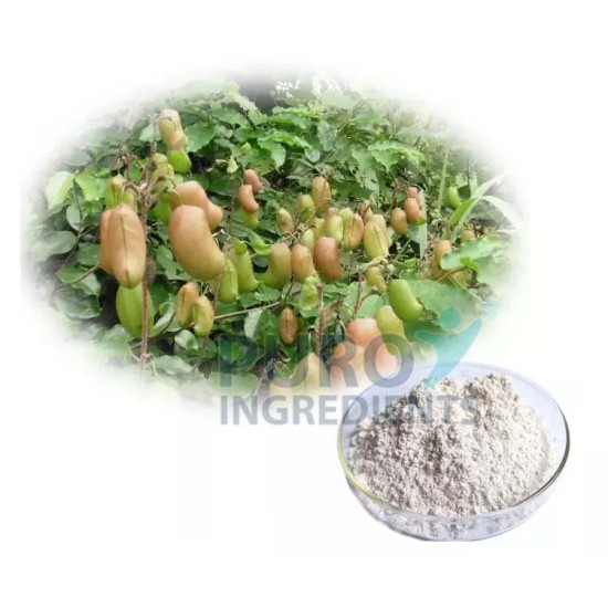 High Purity 98% 5-HTP (Griffonia Seed Extract) 5-Hydroxytryptophan