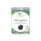 High Purity 98% 5-HTP (Griffonia Seed Extract) 5-Hydroxytryptophan High Purity 98% 5-HTP (Griffonia Seed Extract) 5-Hydroxytryptophan