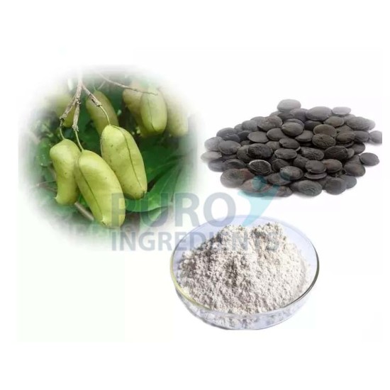 High Purity 98% 5-HTP (Griffonia Seed Extract) 5-Hydroxytryptophan High Purity 98% 5-HTP (Griffonia Seed Extract) 5-Hydroxytryptophan