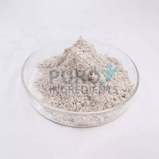 High Purity 98% 5-HTP (Griffonia Seed Extract) 5-Hydroxytryptophan High Purity 98% 5-HTP (Griffonia Seed Extract) 5-Hydroxytryptophan