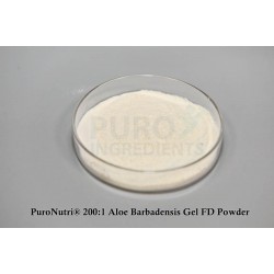 100% nature 200:1 concentrated aloe barbadensis extract freeze dried aloe vera gel powder