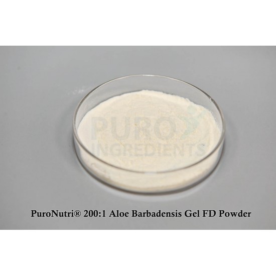 100% nature 200:1 concentrated aloe barbadensis extract freeze dried aloe vera gel powder