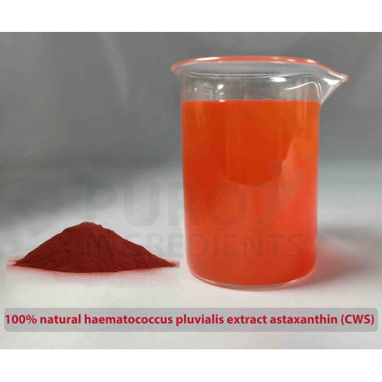 Premium Organic 5% Astaxanthin Powder Water Soluble Standardized Haematococcus Pluvialis Extract Powerful Natural Antioxidant