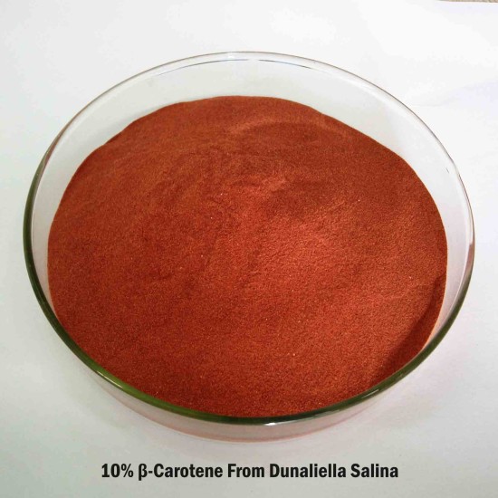 PuroNutri Beta Carotene 10% Powder Highly Concentrated Sourced From Dunaliella Salina PuroNutri Beta Carotene 10% Powder Highly Concentrated Sourced From Dunaliella Salina
