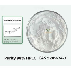 98% Beta-ecdysterone Powder 20-hydroxyecdysone Derived From Cyanotis Arachnoidea Standardized Extract Phytoecdysteroid CAS 5289-74-7 