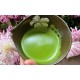 PuroNutri Pure Organic Matcha Green Tea Powder Ceremonial Top Grade Powerful EGCG Antioxidants