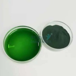 Wholesale 99% Sodium Copper Chlorophyllin Powder E141 Natural Chlorophyll 
