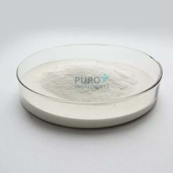 Highest Quality Creatine Monohydrate Micronized Powder
