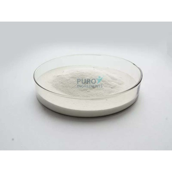 Highest Quality Creatine Monohydrate Micronized Powder Highest Quality Creatine Monohydrate Micronized Powder