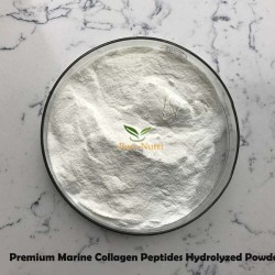PuroIngredients Premium Marine Collagen Peptides Hydrolyzed Fish Collagen Powder