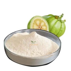 Factory Wholesale Garcinia Cambogia Extract 60% HCA Hydroxycitric Acid Herbal Supplements Water Solubility