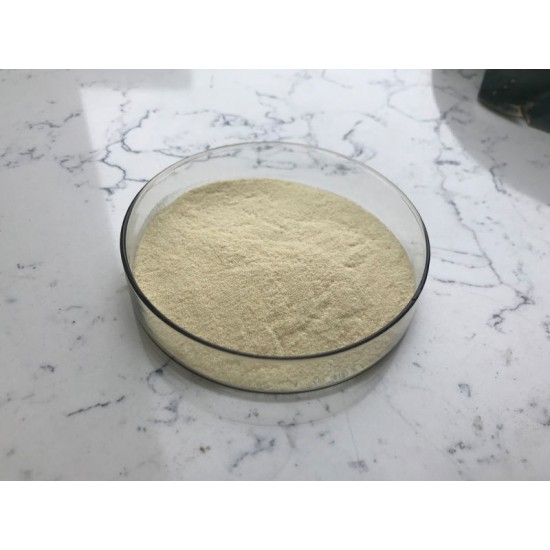 Wholesale Bulk Pure Natural Genistein Supplement CAS 446-72-0 98% Sophora Japonica Extract Powder Wholesale Bulk Pure Natural Genistein Supplement CAS 446-72-0 98% Sophora Japonica Extract Powder