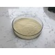 Wholesale Bulk Pure Natural Genistein Supplement CAS 446-72-0 98% Sophora Japonica Extract Powder Wholesale Bulk Pure Natural Genistein Supplement CAS 446-72-0 98% Sophora Japonica Extract Powder