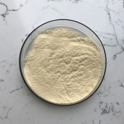 Wholesale Bulk Pure Natural Genistein Supplement CAS 446-72-0 98% Sophora Japonica Extract Powder