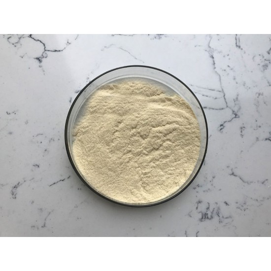 Wholesale Bulk Pure Natural Genistein Supplement CAS 446-72-0 98% Sophora Japonica Extract Powder Wholesale Bulk Pure Natural Genistein Supplement CAS 446-72-0 98% Sophora Japonica Extract Powder
