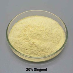 Ginger Extract Standardized 20% Gingerol Zingiber Officinale Powder 