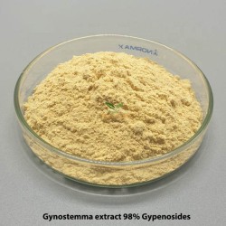 Natural 98% Gypenosides Gynostemma Extract  Jiaogulan Standardized Herbal Extract Gynosaponin Pentaphyllum 15588-68-8  
