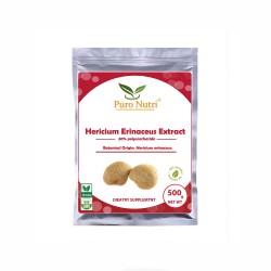 Hericium Erinaceus Extract 30% Polysaccharide Lion's Mane Extract Powder Health Food Ingredients Lion's Mane