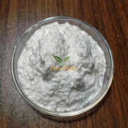 99% Spongilla Spicule Freshwater Hydrolyzed Sponge Skin Conditioning Micro Needle