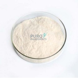 99% Natural Kojic Acid Powder Pure Cosmetic Grade Raw Material Skin Whitener Lightener