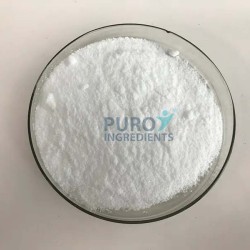 High quality bulk 99% L-Carnitine powder