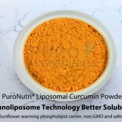 Liposomal Curcumin Nanoliposome Technology Better Solubility and Stability Dual drug delivery, higher bioavailability