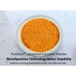Liposomal Curcumin Nanoliposome Technology Better Solubility and Stability Dual drug delivery, higher bioavailability