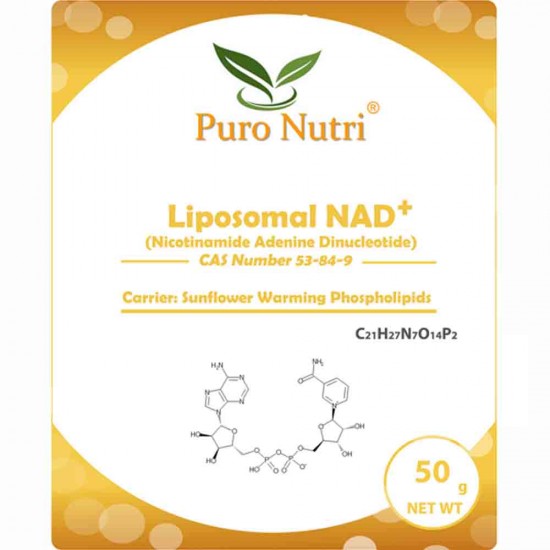 PuroNutri® Liposomal NAD+ Powder Nicotinamide AdenineDinucleotide Encapsulated by Liposome Technology 