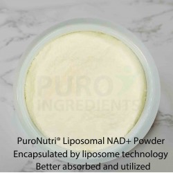 PuroNutri® Liposomal NAD+ Powder Nicotinamide AdenineDinucleotide Encapsulated by Liposome Technology 