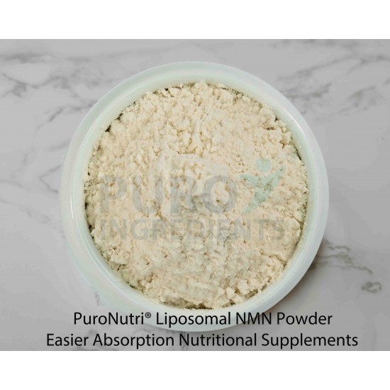 Liposomal NMN Easier Absorption Higher Bioavailability Sunflower Lecithin Nanotechnology Wrapping 
