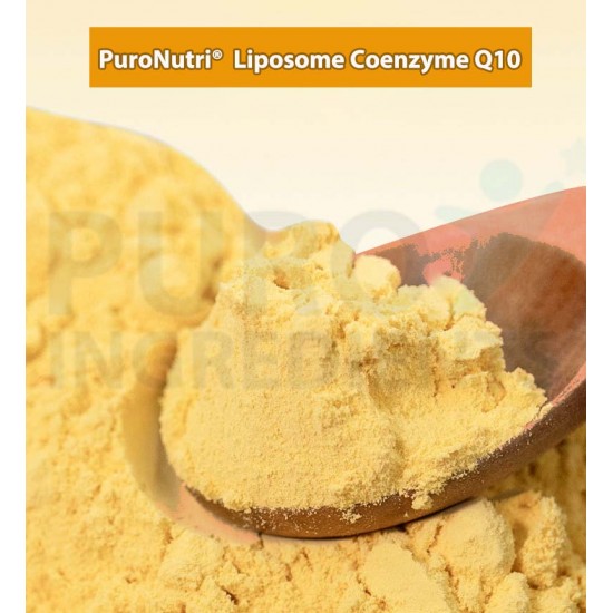 PuroNutri Liposomal Coenzyme Q10 Liposome Technology Ubiquinone Better absorptivity,Higher bioavailability Breakthrough absorption