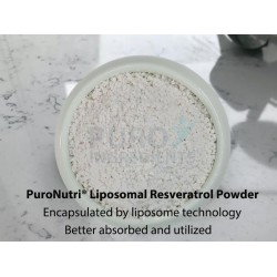 Factory Liposomal Resveratrol Powder Polygonum Cuspidatum Extract Resveratrol 70% Polygonum Cuspidatum Root Extract 