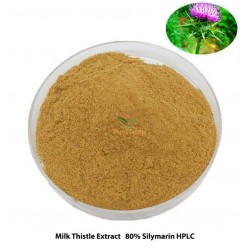 Milk Thistle Extract 80% silymarin Silybum Marianum powder cas 65666-07-1