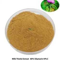 Milk Thistle Extract 80% silymarin Silybum Marianum powder cas 65666-07-1