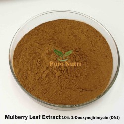 High Quality Mulberry Leaf Extract 10% Standardized Natural 1-Deoxynojirimycin (DNJ) Factory Wholesale