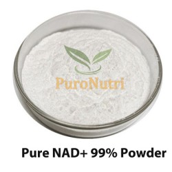 PURE NAD+ Sublingual Powder Nicotinamide Adenine Dinucleotide (53-84-9) HPLC≥98%