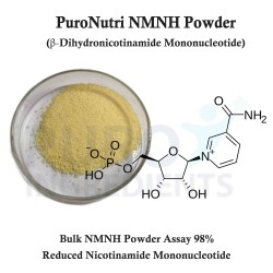 PuroNutri NMNH Supplements Powder Reduced Nicotinamide Mononucleotide Dihydronicotinamide CAS 108347-85-9