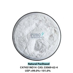 PuroIngredients Natural Paclitaxel Powder CAS 33069-62-4 High Purity USP EP 99% HPLC Medicinal Anticancer Agent