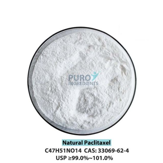 PuroIngredients Natural Paclitaxel Powder CAS 33069-62-4 High Purity USP EP 99% HPLC Medicinal Anticancer Agent PuroIngredients Natural Paclitaxel Powder CAS 33069-62-4 High Purity USP EP 99% HPLC Medicinal Anticancer Agent