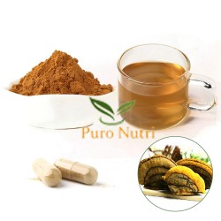 PuroIngredients high quality phellinus linteus sanghwang extract powder Phellinus Igniar black hoof mushroomius meshimakobu Beta Glucan