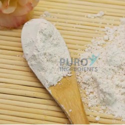 Pharmaceutical Grade Polygonum Cuspidatum root Extract powder Giant Knotweed 99% trans-resveratrol 501-36-0 
