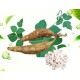 Organic Pueraria Mirifica Extract Pueraria Lobata 30% puerarin water soluble Kudzu Root Powder Organic Pueraria Mirifica Extract Pueraria Lobata 30% puerarin water soluble Kudzu Root Powder