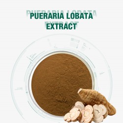Organic Pueraria Mirifica Extract Pueraria Lobata 30% puerarin water soluble Kudzu Root Powder