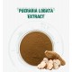 Organic Pueraria Mirifica Extract Pueraria Lobata 30% puerarin water soluble Kudzu Root Powder Organic Pueraria Mirifica Extract Pueraria Lobata 30% puerarin water soluble Kudzu Root Powder