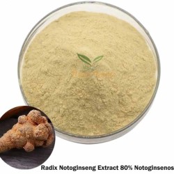Radix Notoginseng Extract 80% Notoginsenosides Tian Rhizoma Panax Sanchi San Qi Powder