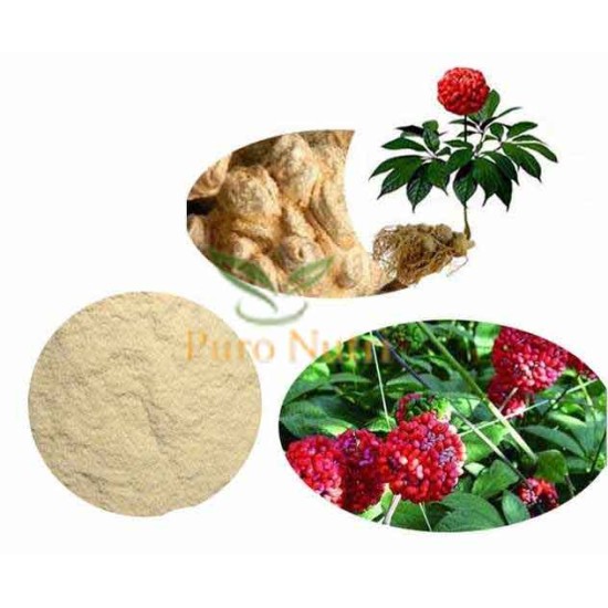 Radix Notoginseng Extract 80% Notoginsenosides Tian Rhizoma Panax Sanchi San Qi Powder Radix Notoginseng Extract 80% Notoginsenosides Tian Rhizoma Panax Sanchi San Qi Powder