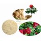 Radix Notoginseng Extract 80% Notoginsenosides Tian Rhizoma Panax Sanchi San Qi Powder Radix Notoginseng Extract 80% Notoginsenosides Tian Rhizoma Panax Sanchi San Qi Powder
