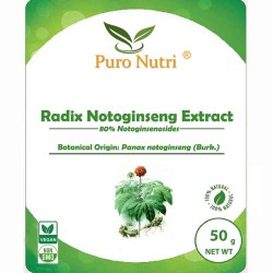 Radix Notoginseng Extract 80% Notoginsenosides Tian Rhizoma Panax Sanchi San Qi Powder