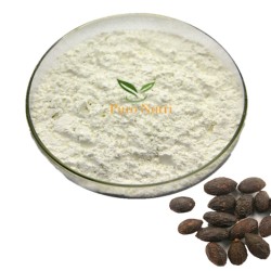 Saw palmetto extract 45% fatty acid serenoa repens powder urinary prostate support supplement